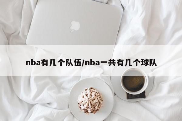 nba有几个队伍/nba一共有几个球队