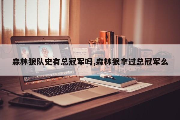 森林狼队史有总冠军吗,森林狼拿过总冠军么