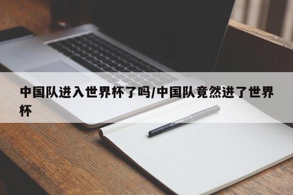 中国队进入世界杯了吗/中国队竟然进了世界杯
