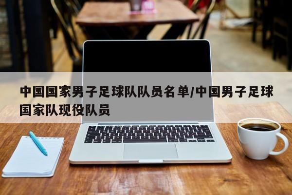 中国国家男子足球队队员名单/中国男子足球国家队现役队员