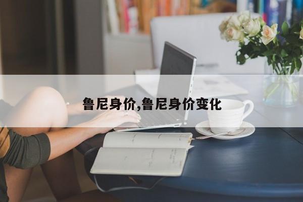 鲁尼身价,鲁尼身价变化