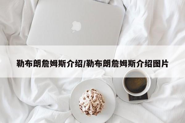 勒布朗詹姆斯介绍/勒布朗詹姆斯介绍图片